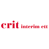 CRIT-INTERIM-ETT